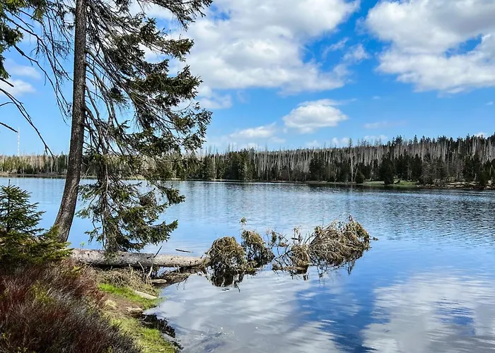 Neu! Hirschgrund 10 Og Panorama, Sauna, Pool 아파트 *